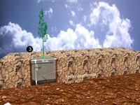 Ceviz Nasıl Yetiştirilir?