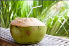 Taze Hindistan Cevizi Kullanımı ve Faydaları Nelerdir?