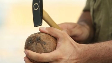 Hindistan Cevizi Nasıl Açılır?